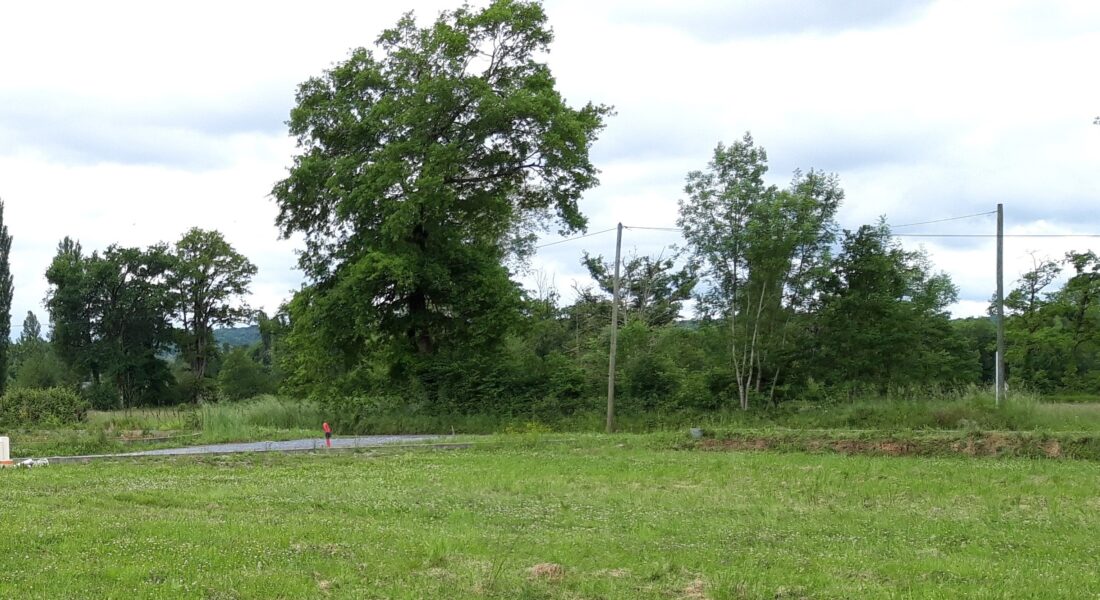 Maison avec terrain Soumoulou  (Béarn)